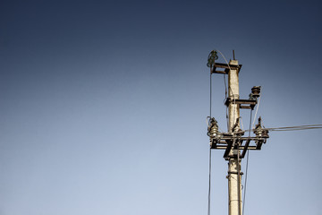 electric pole on blue sky
