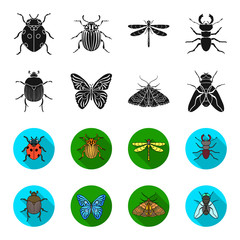 Wrecker, parasite, nature, butterfly .Insects set collection icons in black,flet style vector symbol stock illustration web. © pandavector