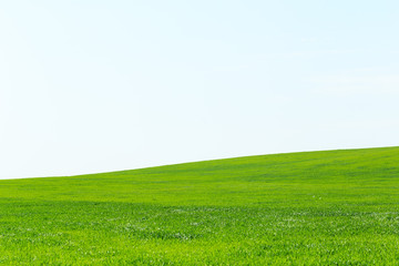 beautiful Green field