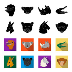 Kangaroos, llama, monkey, panther, Realistic animals set collection icons in black,flet style vector symbol stock illustration web. © pandavector