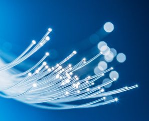 Bundle of optical fibers with lights in the ends. Blue background.