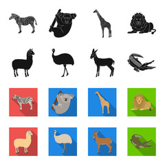 lama, ostrich emu, young antelope, animal crocodile. Wild animal, bird, reptile set collection icons in black,flet style vector symbol stock illustration web. © pandavector