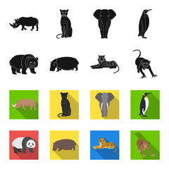Bamboo bear, hippopotamus, wild animal tiger, monkey . Wild animal set collection icons in black,flet style vector symbol stock illustration web. © pandavector