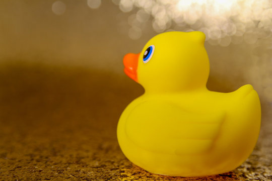 Rubber Duck Toy for Bath in a Sparkling Environment