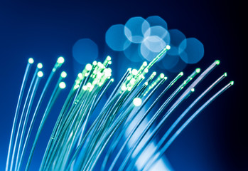 Bundle of optical fibers with lights in the ends. Blue background.