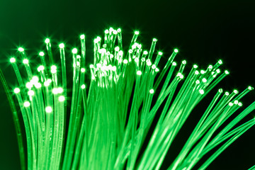 Bundle of optical fibers with green light. Black background.