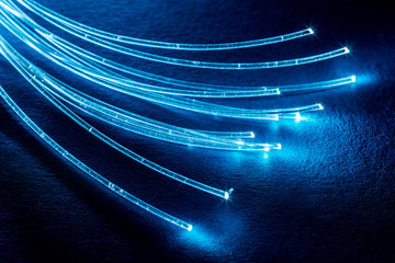 Bundle of optical fibers with lights in the ends. Blue background.