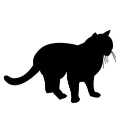 icon, silhouette cat