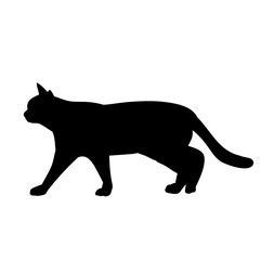 icon, silhouette cat