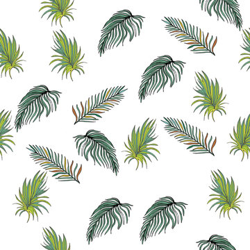 Hand Drawn Seamless Background With Palm Leaves And Tropical Flowers. Jungle Pattern For Textile Or Book Covers, Manufacturing, Wallpapers, Print, Gift Wrap And Scrapbooking. © TrishaMcmillan