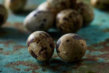 Obraz premium Spotted quail eggs arranged on theblue textured background, selective focus.