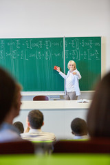 Frau als Dozent im Mathematik Unterricht