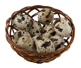 quail eggs in a basket isolated on white background