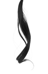 curl of black hair isolated on white background