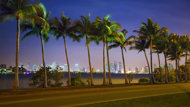 Hot Miami Florida Night Tropical Traffic Timelapse with Fast Moving Lights from Driving Cars in South Beach with Vibrant Cityscape Downtown Buildings Background and Palm Trees in a Colorful Sky
