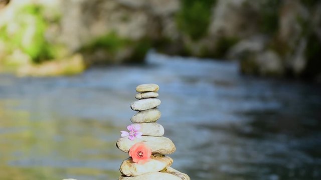 Zen Sanatı