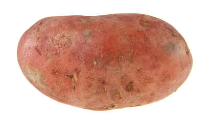 potato isolated on white background