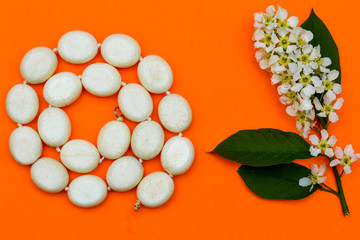 Beads from corals on an orange background, next to a cherry blossom branch.