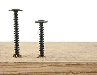 black screws screwed into a wooden bar isolated on white background