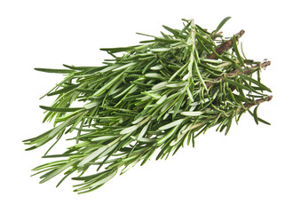 rosemary isolated on white background