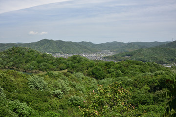 Fototapeta premium 日本の山の風景