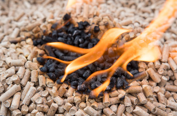 Holzpellets