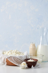 Set of dairy products on light blue background. Cottage cheese, sour cream, mascarpone and fermented baked milk