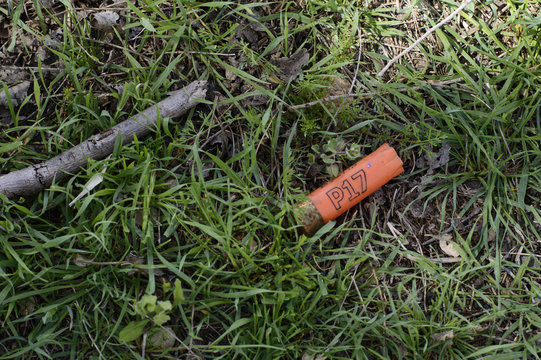 Primer plano de un cartucho P17 usado en el c&eacute;sped con una rama al lado