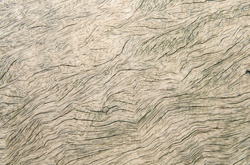 Old wooden texture.