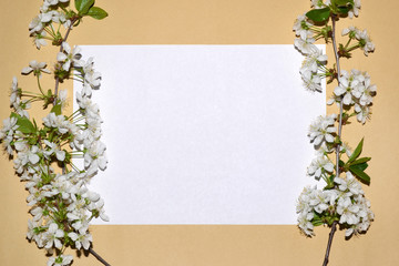 Fototapeta premium Place for text on white landscape sheet, framed with fresh spring flowers on brown background.