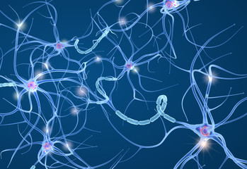 Nerve cell anatomy in details. 3D illustration