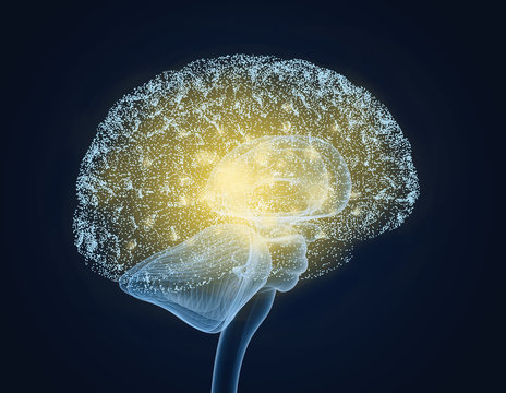 Brain impulses. Thinking prosess