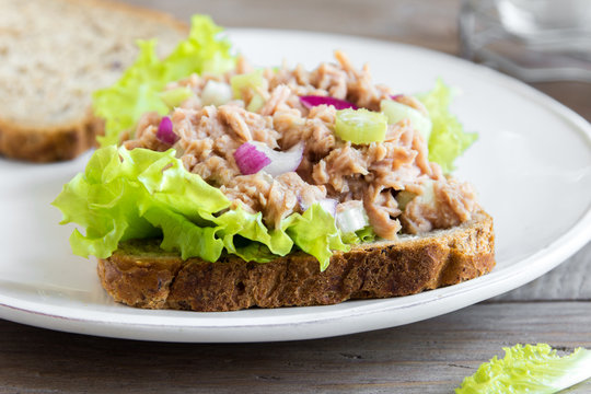 Tuna Salad Sandwich