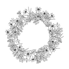 Hand drawn wild hay flowers. Celandine flower. Medical herb. Vintage engraved art. Round wreath composition. Good for cosmetics, medicine, treating, aromatherapy, nursing, package design health care.