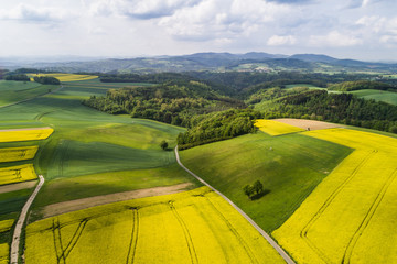 Hügellandschaft mit Rapsfelder - Luftaufnahme Burgenland (A)