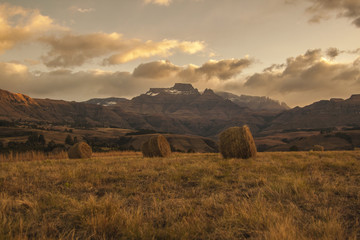 Obraz premium Hay Bales, Round, Early Morning, Drakensberg, KZN