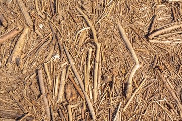 débris végétaux déposés par les eaux de ruissellement 