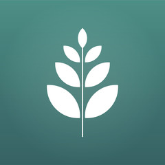 plant and sprout growing icon flat design, vector illustration isolated on modern background.