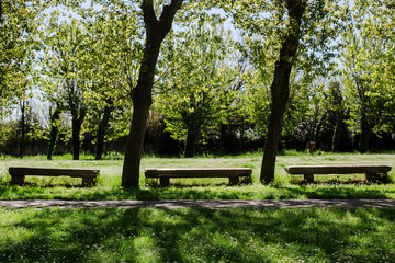 rural spring landscape
