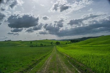 Fototapeta na wymiar tuscany rural landscaper path countryside italy green blue