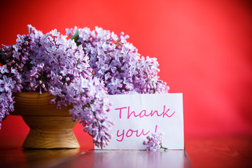 branch of blossoming spring lilac