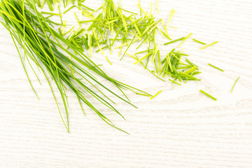 Fresh chives table top isolated on grey wood background grass-like leaves fines herbes.
