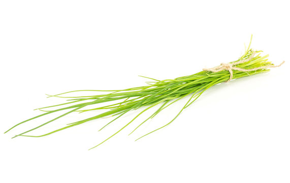 Fresh chives bunch tied by rope isolated on white background grass slender leaves.