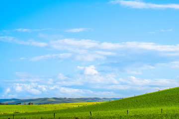 Fototapeta na wymiar Stunning scene Cloudy and blue sky with green grassland. New Zealand agriculture in the rural area.