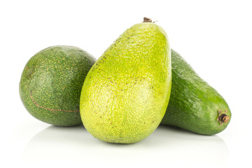 Three green smooth avocado isolated on white background ripe shiny bacon variety.