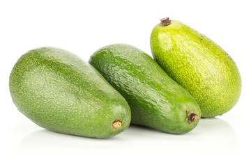 Three green smooth avocado isolated on white background ripe bacon variety.