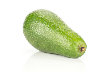 One green smooth avocado isolated on white background ripe bacon variety.