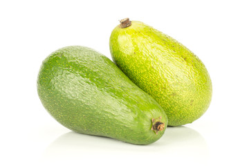 Two green smooth avocado isolated on white background ripe bacon variety.