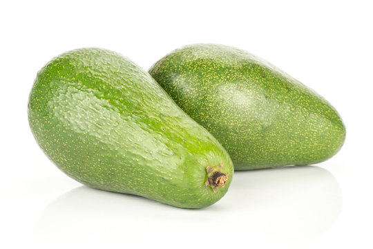 Avogato Images Browse 121 Stock Photos Vectors and Video Adobe Stock