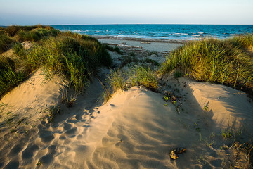 sandy dunes to the sea with sunset light